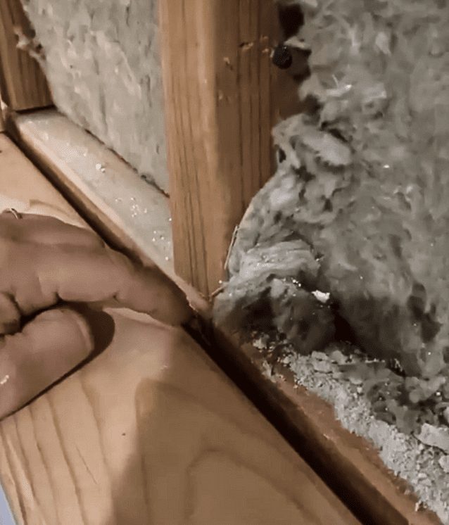 Hand touching wood