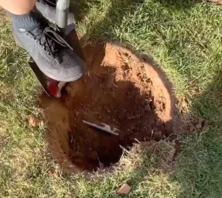 hole in a lawn