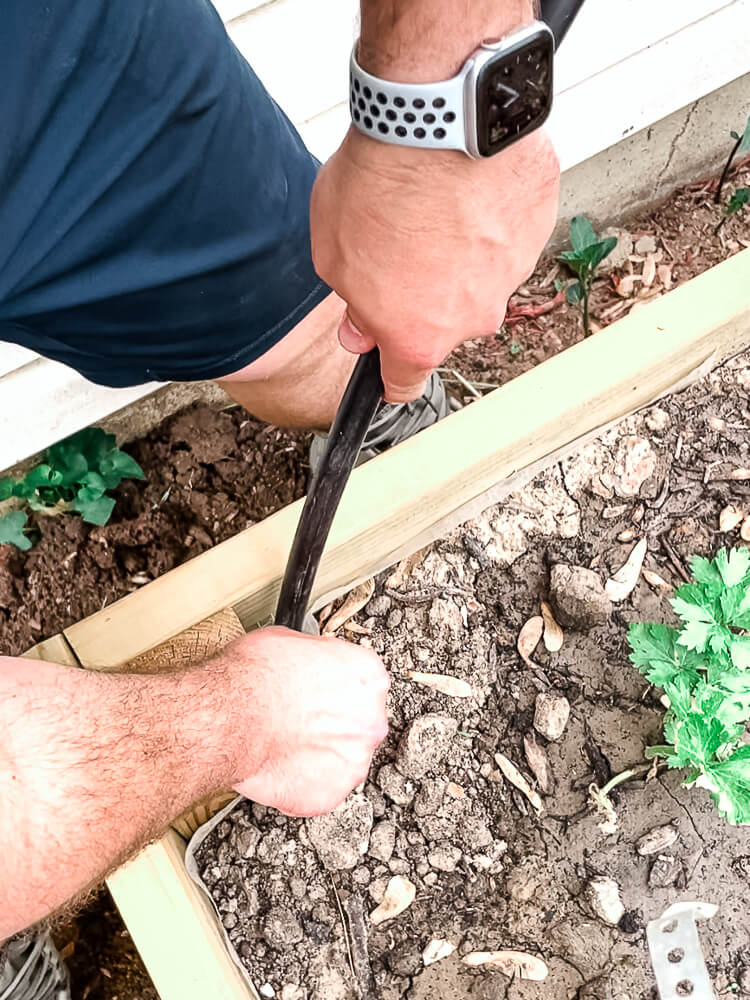 pushing drip line down a raised garden bed