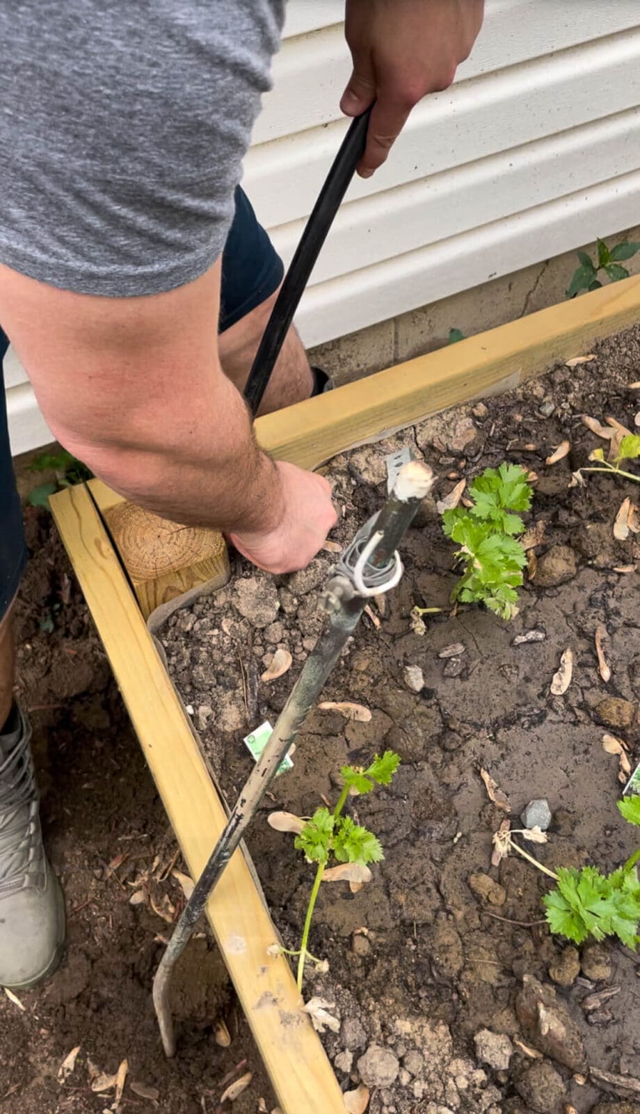 How to Install a DIY Drip Irrigation System for Raised Garden Beds ...