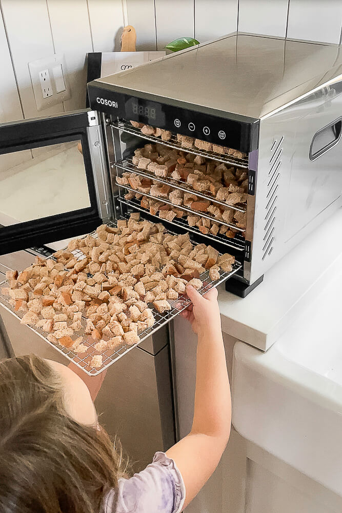 A young girl placing trays of bread cubes into a dehydrator to prepare homemade Thanksgiving stuffing.