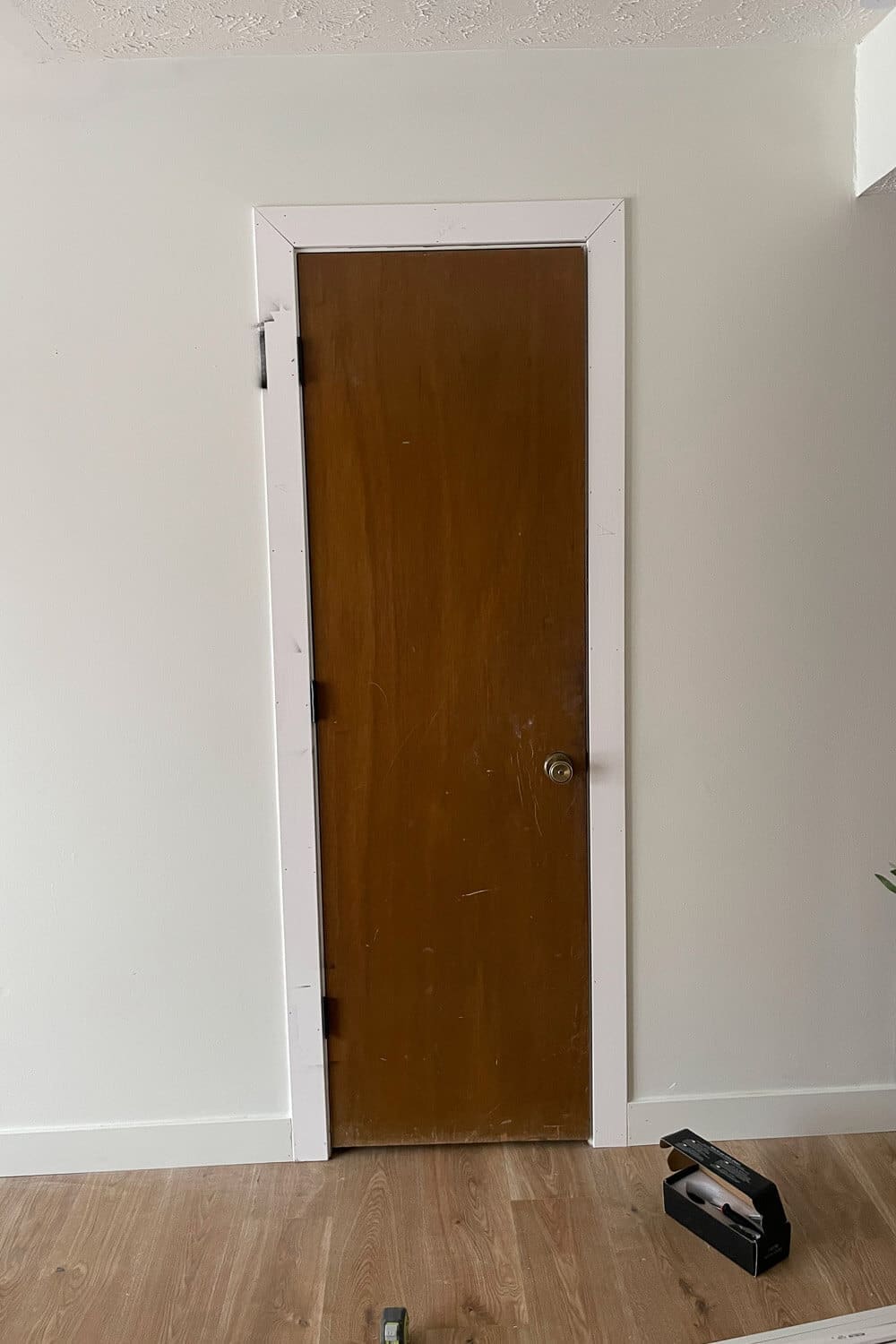 Old hollow core interior door before DIY upgrade