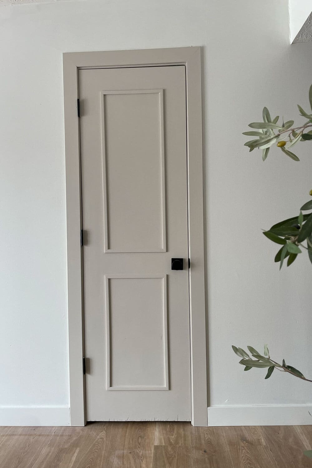 Finished DIY interior door upgrade with trim panels and black hardware