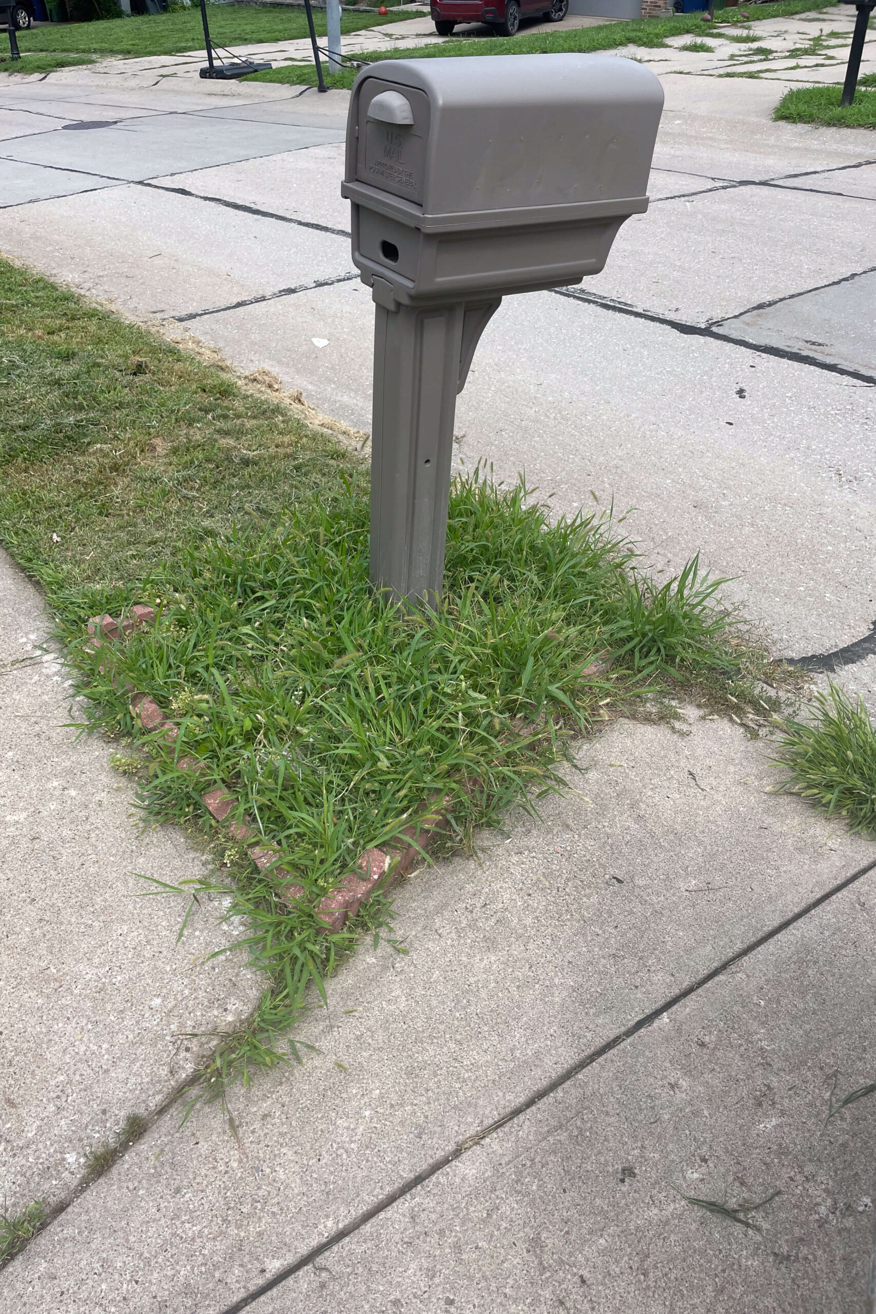 Before picture of mailbox with overgrown weeds.
