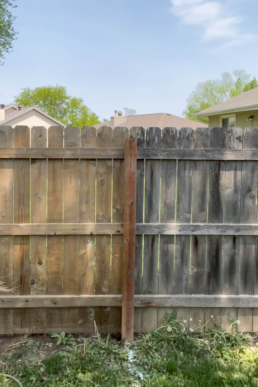 Before and after pressure washing an old, wood fence.