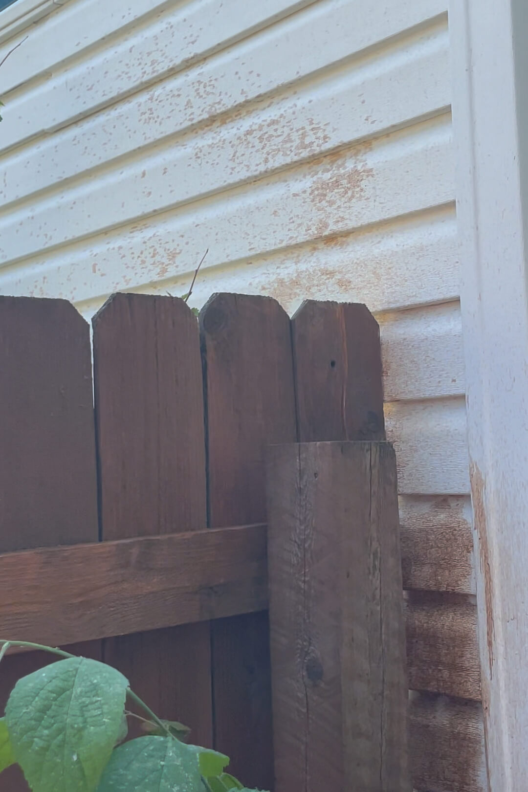 Overspray on the house from staining a wood fence.