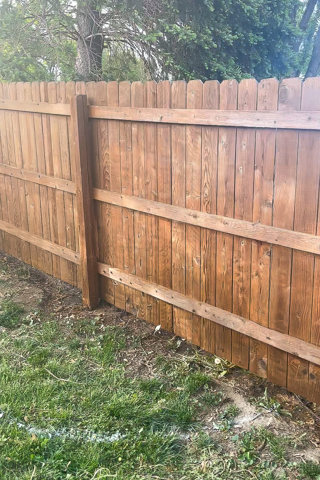 After pressure washing and staining a fence.