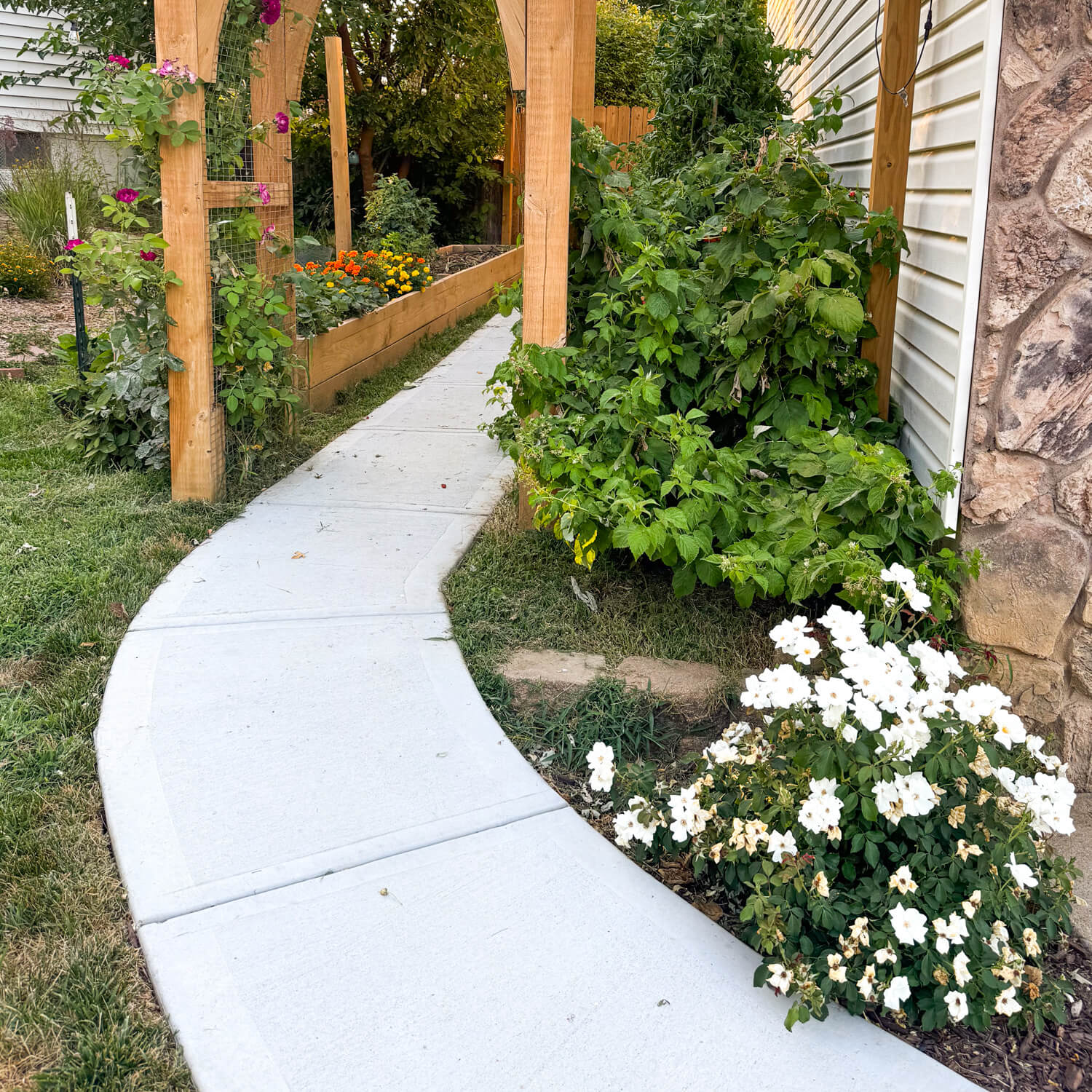 Concrete sidewalk winding through a garden.