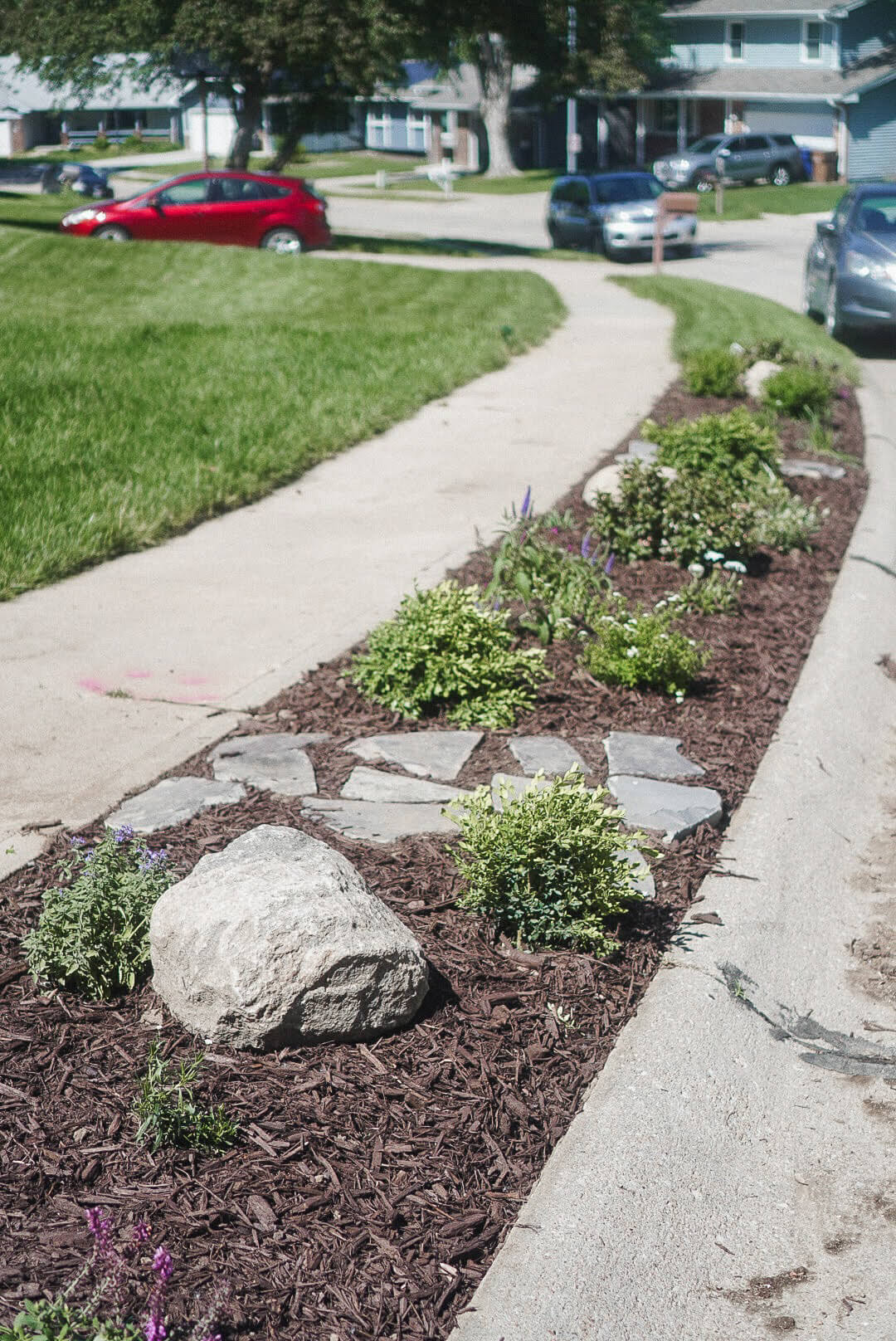 A park strip that is completely finished with DIY, low maintenance front yard landscaping.