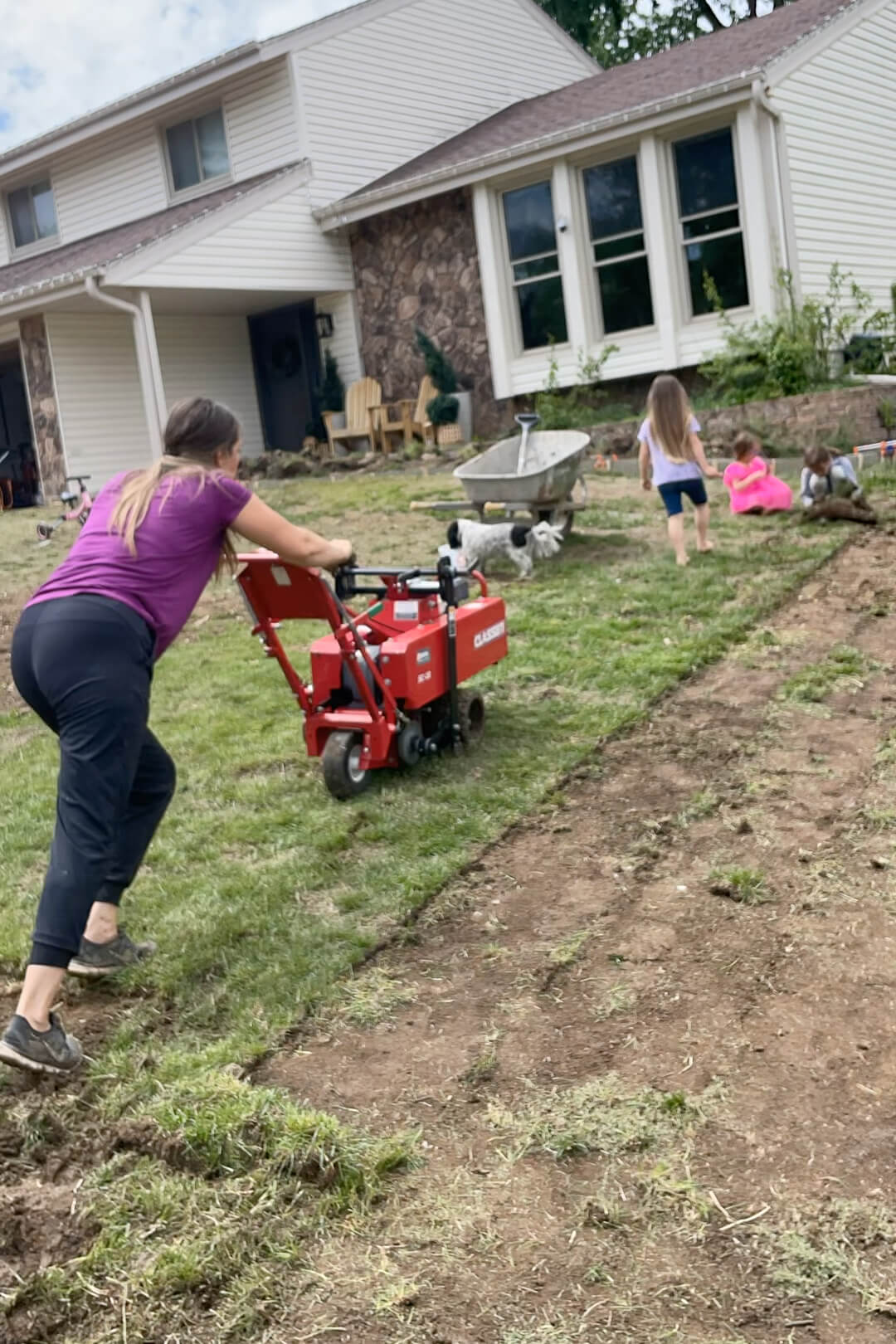 Using a sod cutter to removed old grass.