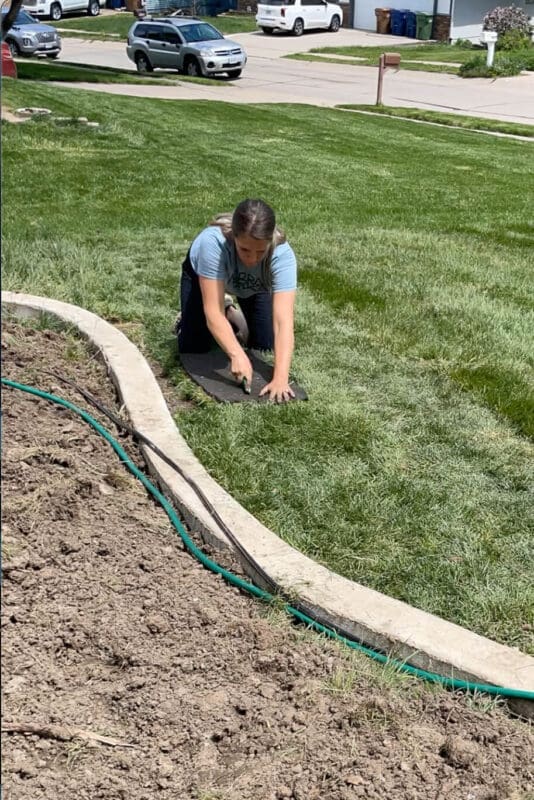 How to Prepare Lawn Soil before Sod Installation: Expert Tips
