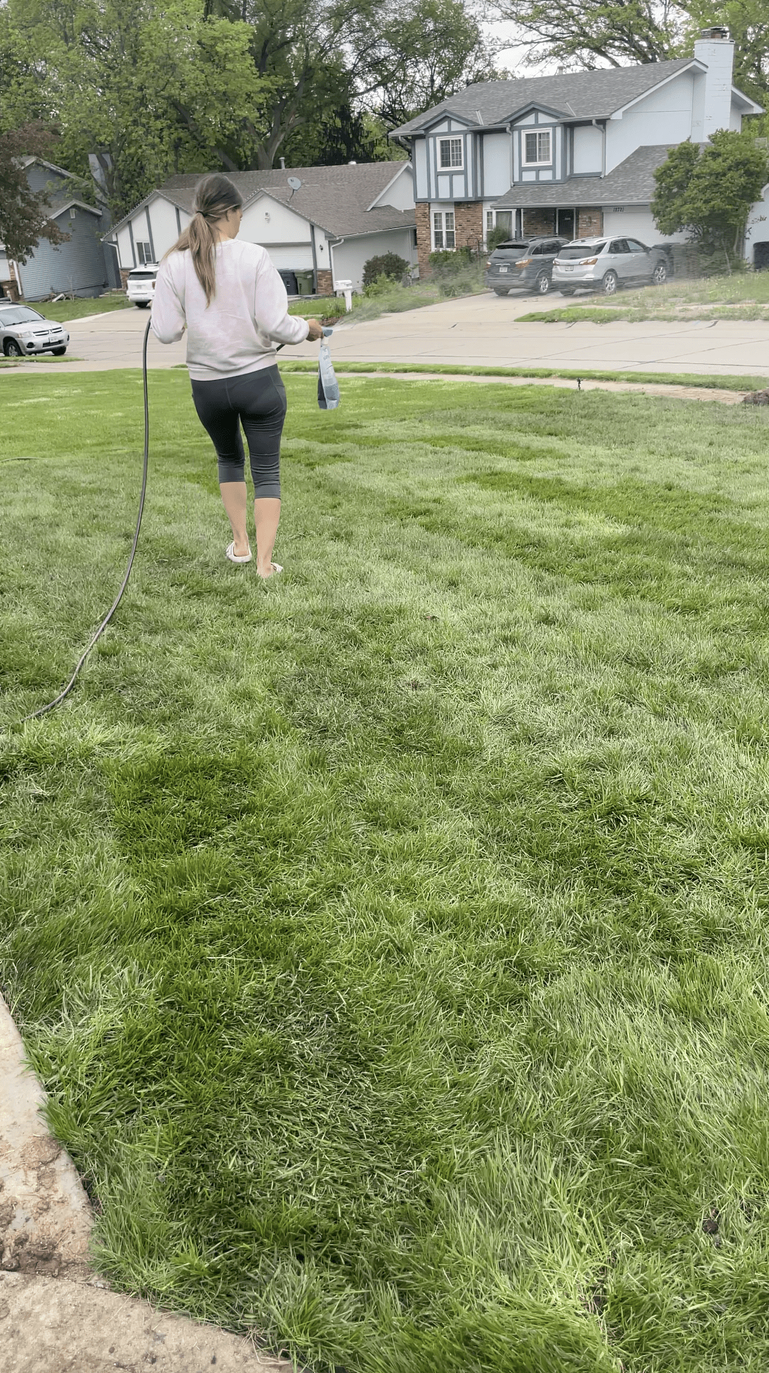 How to Roll Newly Laid Sod: Expert Tips for a Perfect Lawn
