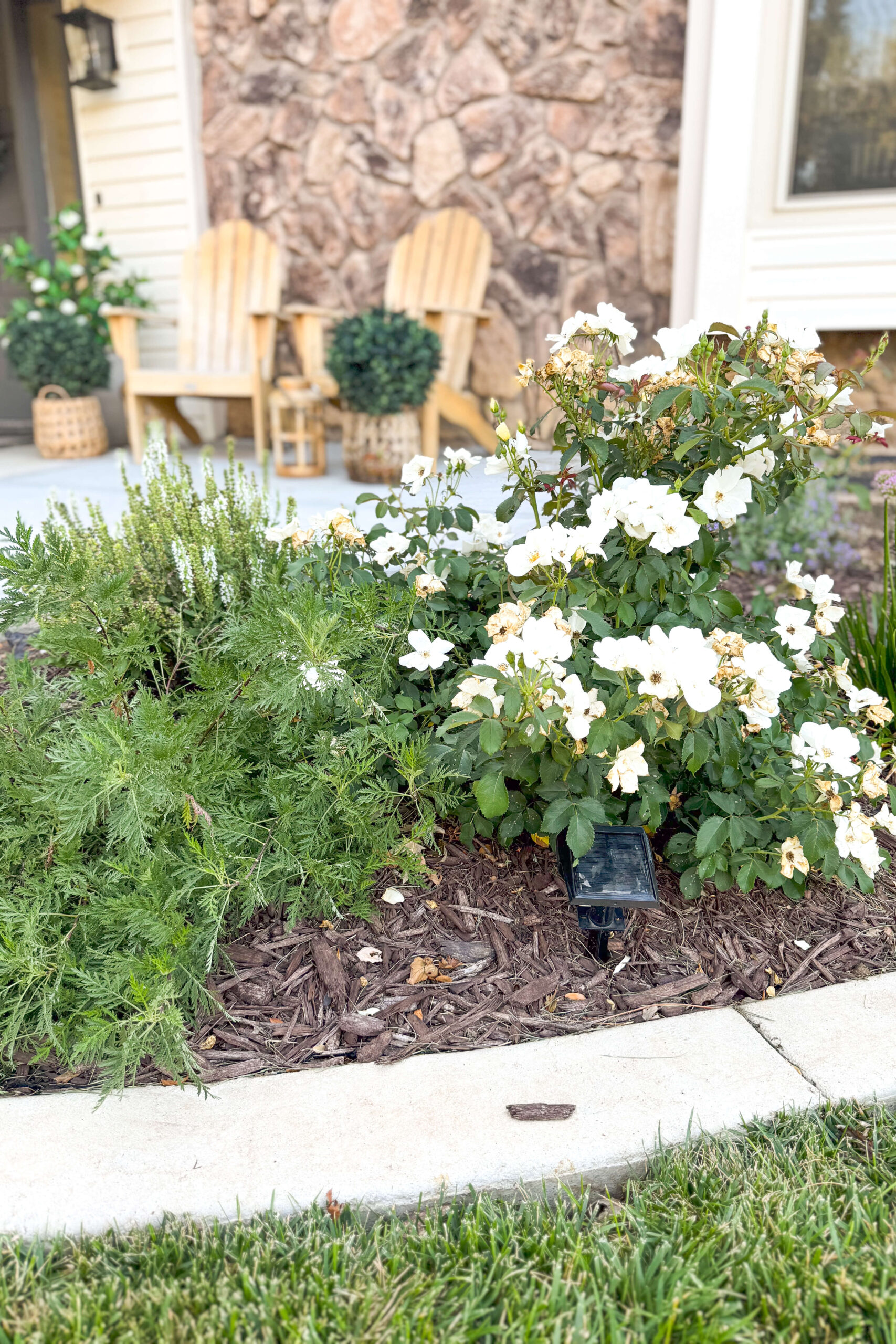 Choosing native, low-maintenance plants when putting together yard designs.