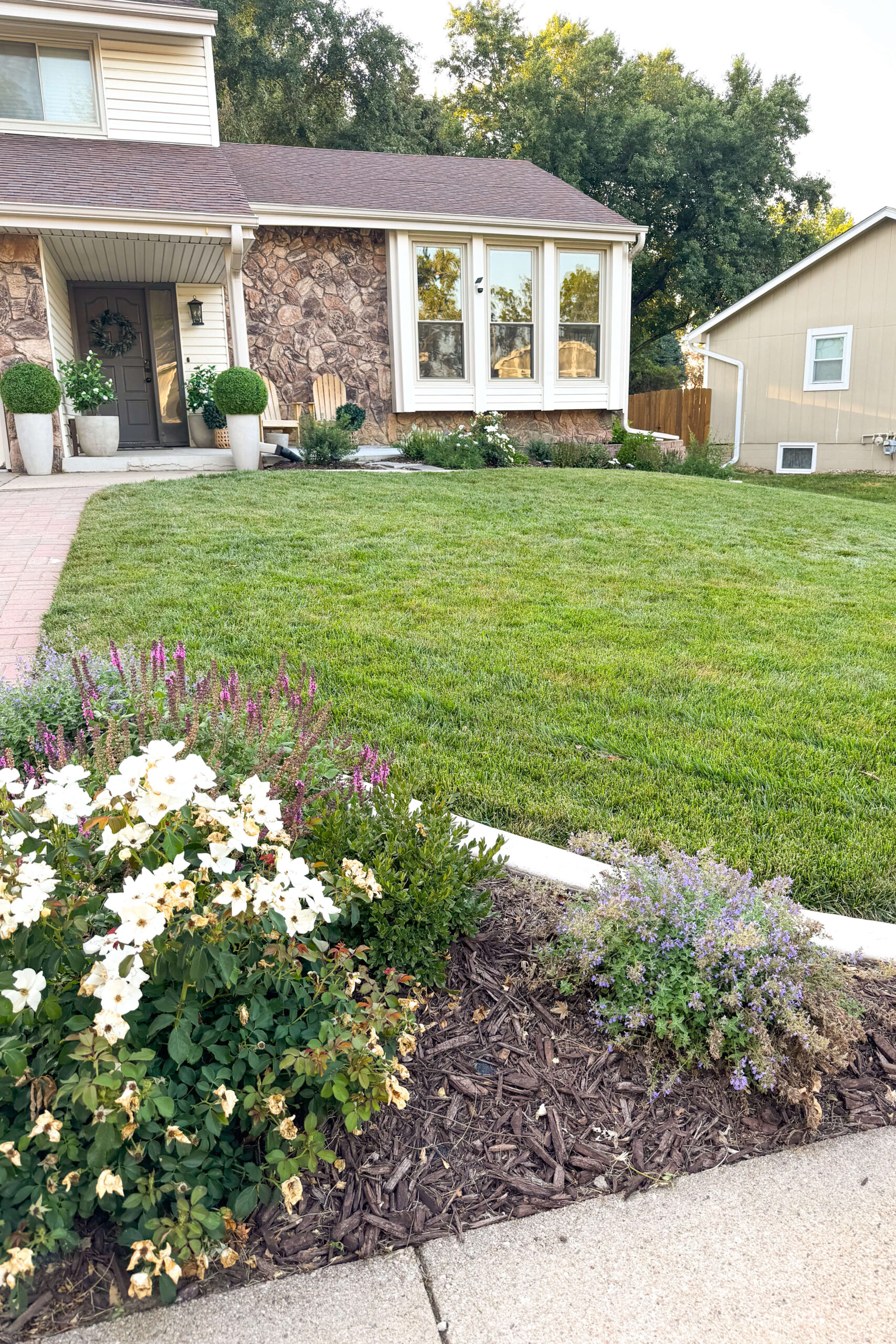 Using native, low-maintenance plants in yard designs.