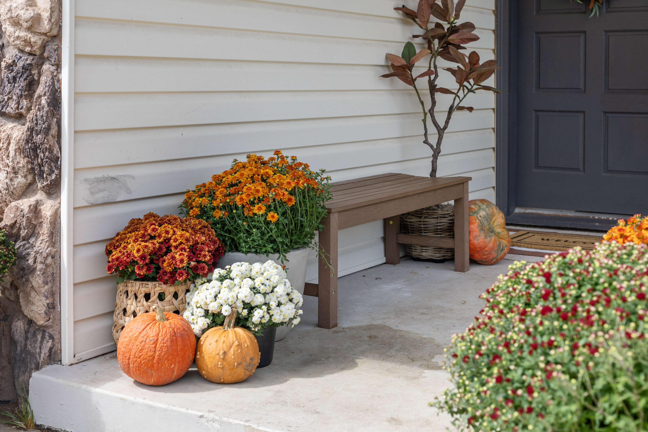 Fall front porch decor with mums and pumpkins.