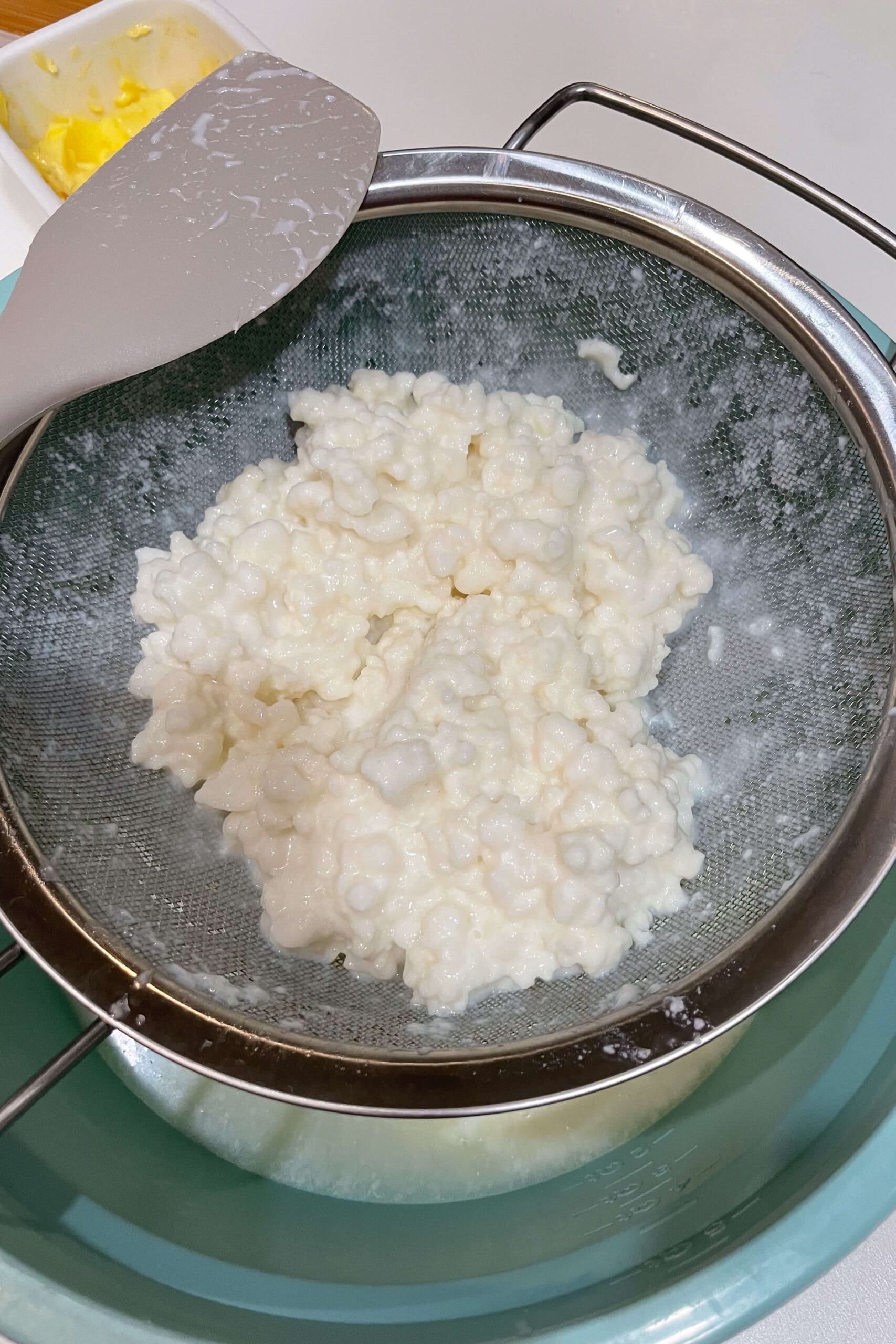 Close-up of milk kefir grains after fermentation, ready to be reused for making homemade kefir.