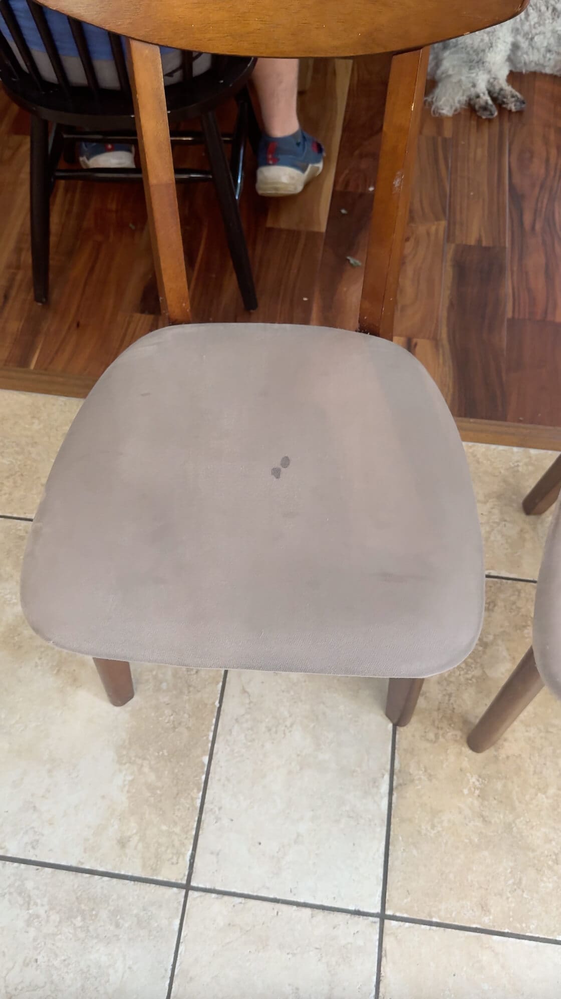 Freshly cleaned upholstered dining chair with light beige fabric, showing minimal staining and smooth texture after cleaning.