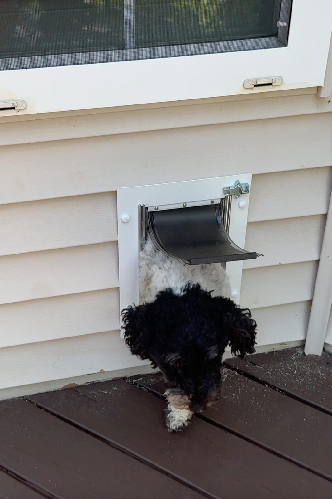 How To Install a Dog Door in the Wall (Step-by-Step) | Crystel ...