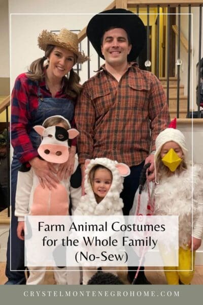 Farm animal costumes for the whole family, no-sew farmers, cow, sheep and chicken - pin for later
