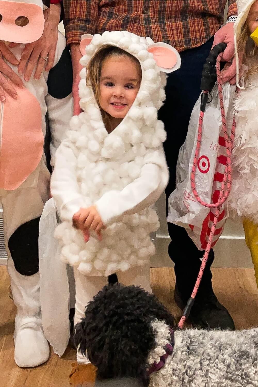 Toddler in a DIY sheep costume made from cotton balls with pink felt ears, smiling next to a dog