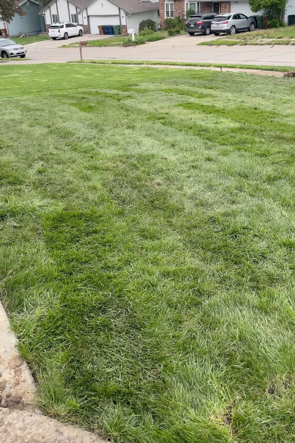 beautiful yard after finishing laying sod.