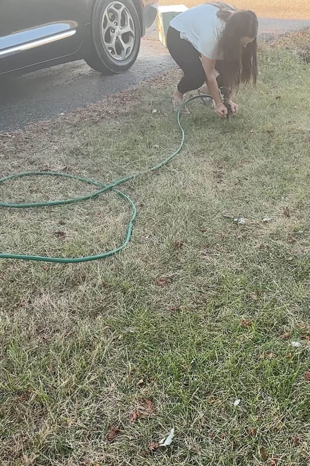 installing a sprinkler to water new seed