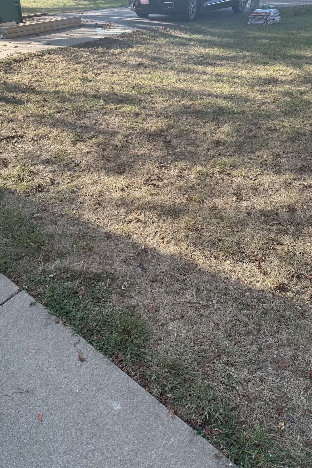 front yard with dry, brown, patchy grass