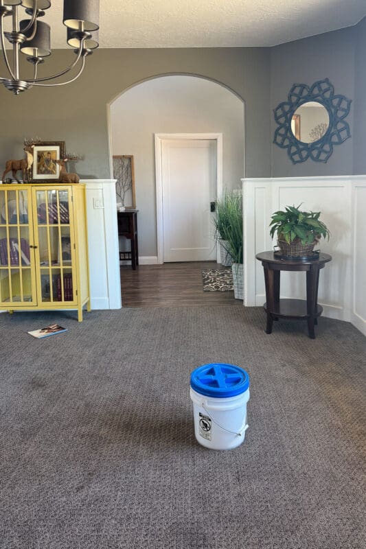 Front sitting room before photo with dark gray walls, white board and batten, gray carpet, yellow glass-front cabinet, round side table with plant, and arched doorway.