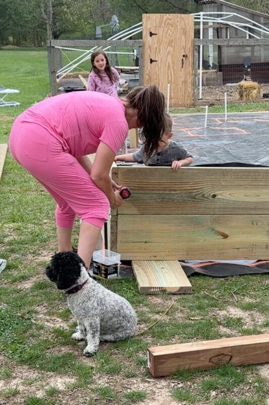 A woman in a pink outfit drills screws into a partially built raised garden bed while a young boy peeks over the top of the frame, a girl watches from the background, and a black and white curly-haired dog sits nearby supervising the build.