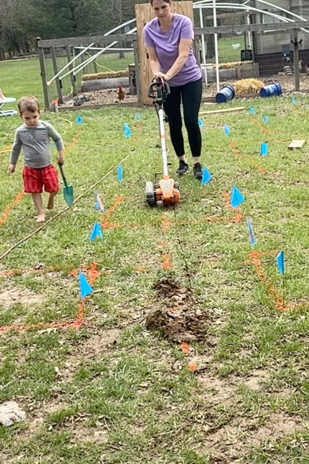 Woman using a powered edger to dig a trench for PVC pipe in a DIY garden watering system, marked with blue utility flags