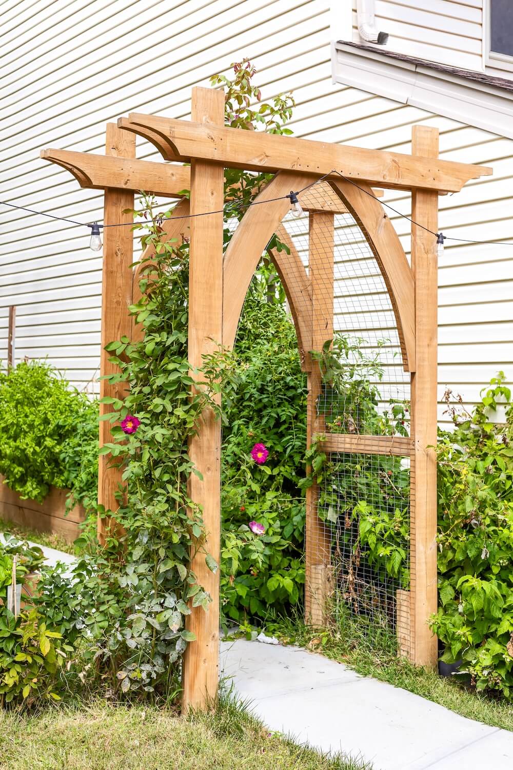 DIY garden arbor with decorative curved arches, wire trellis panels, and climbing roses along a concrete garden pathway