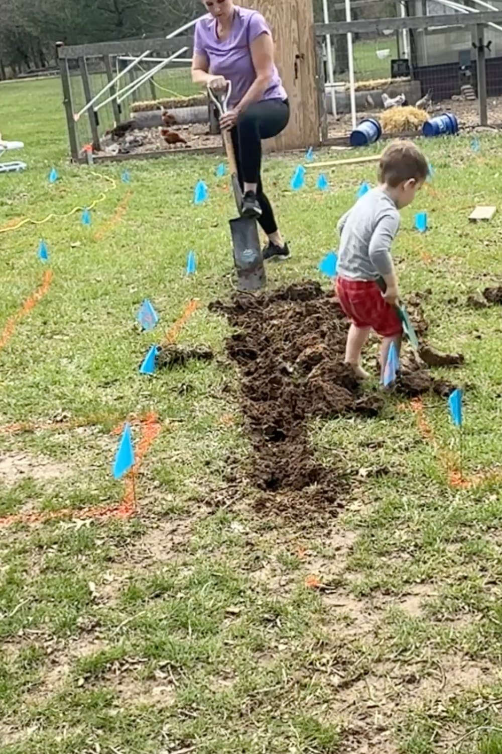 Digging out a trench by hand with a shovel to bury PVC pipe for a raised bed irrigation system, with toddler helping