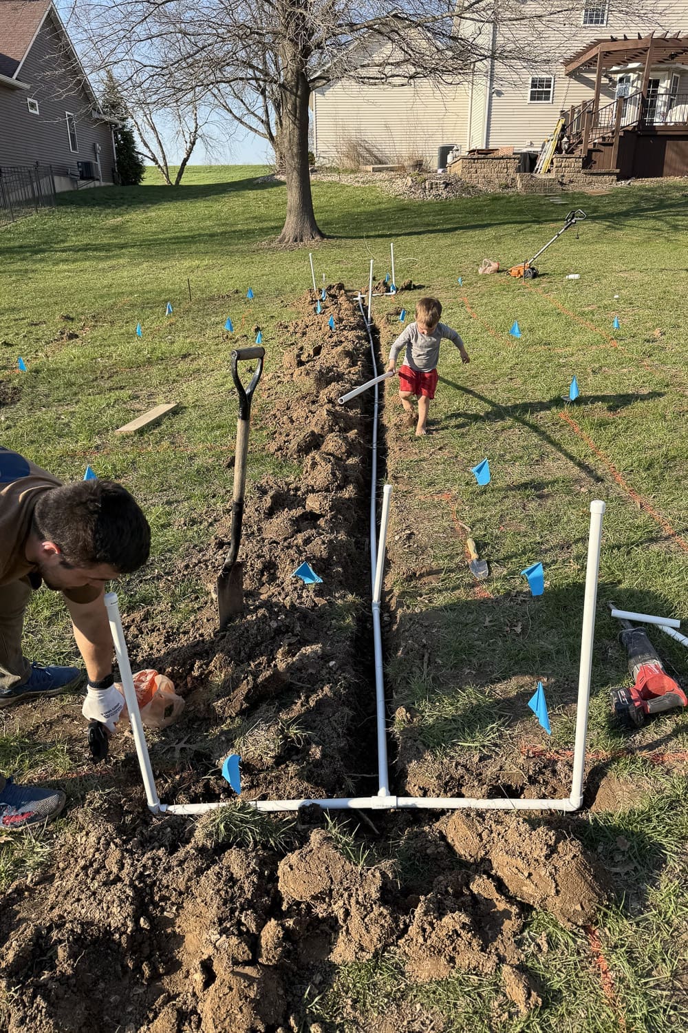 Long trench with PVC pipe main line and multiple vertical spigot risers laid out across the yard for a DIY garden watering system before being buried
