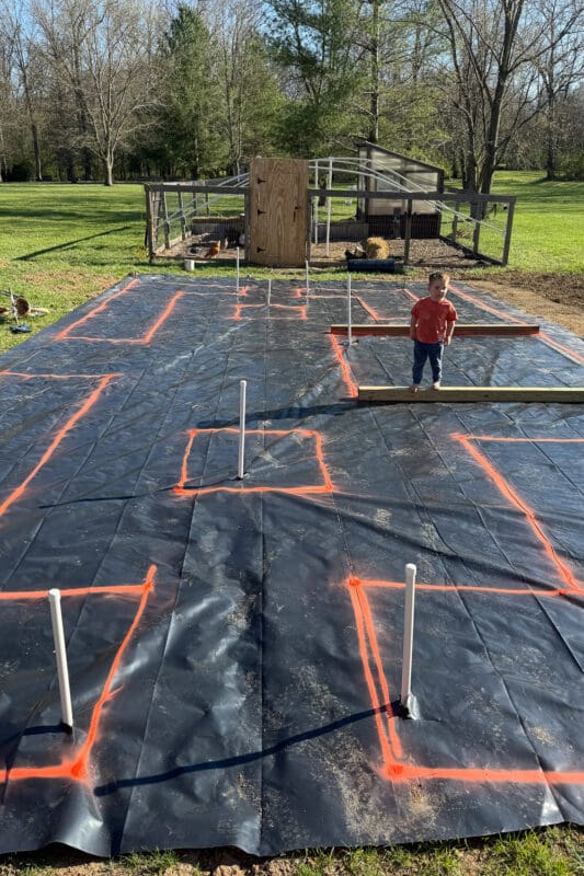 A toddler in a red shirt stands on a large black landscape fabric laid out on a lawn, marked with orange spray paint lines and white PVC pipe stakes to plan the layout. A chicken coop and run are visible in the background.