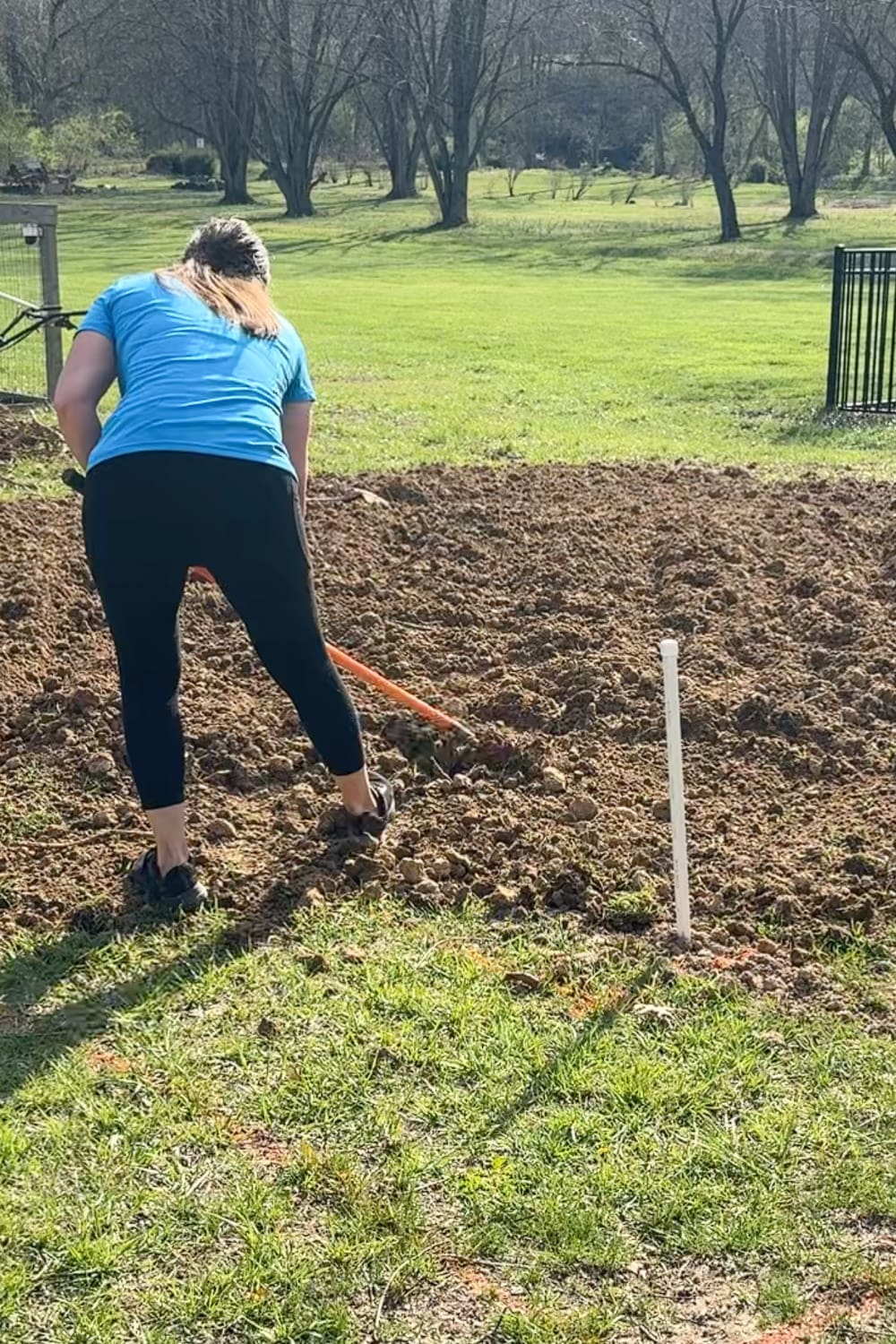 Raking and spreading soil to level uneven ground for raised garden beds