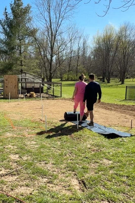 Rolling out black plastic  over leveled garden area before installing raised beds