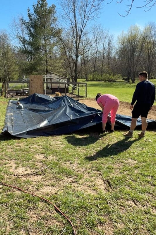 Spreading black plastic weed barrier across garden space to fully cover soil and prevent weeds