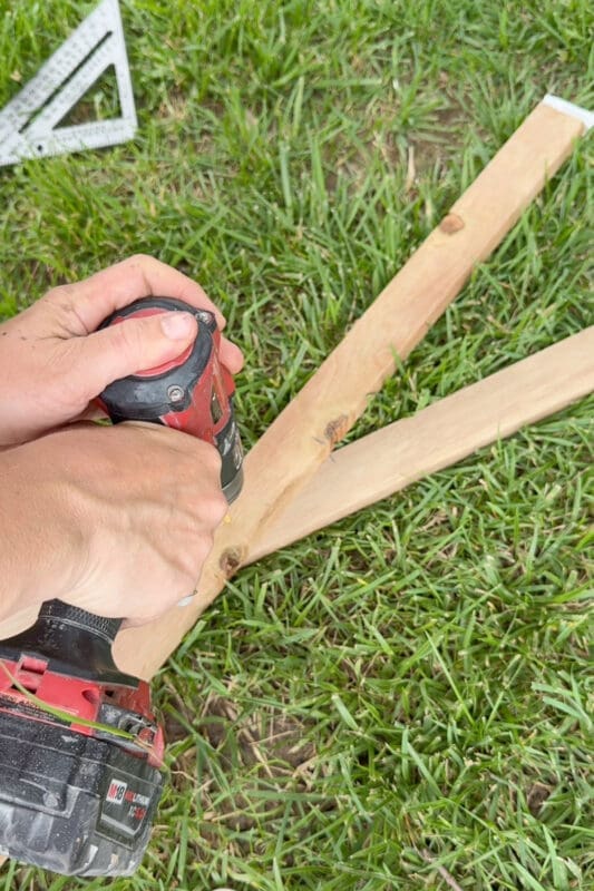 Using a cordless drill to screw two crossed wood stakes together while building a plant climbing support tower