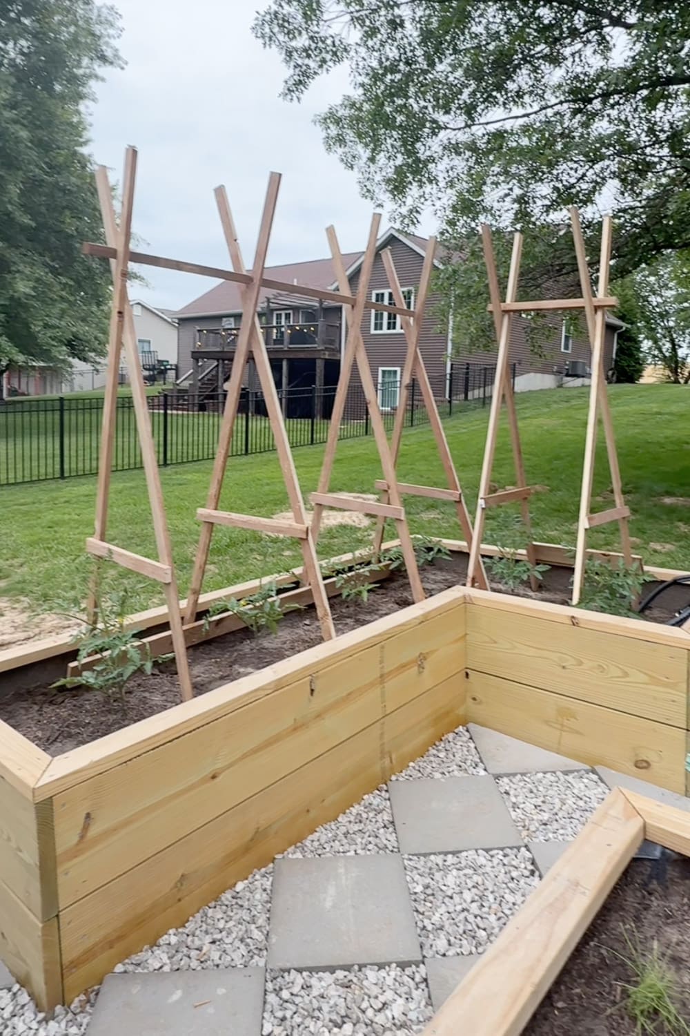 A row of DIY tomato trellises lined up along an L-shaped raised garden bed with a paver and gravel path alongside