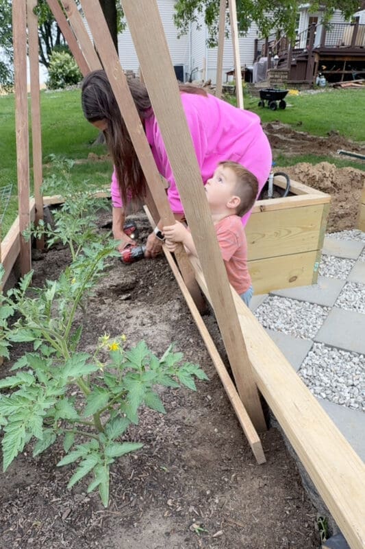 Gardener drilling a DIY tomato trellis leg into a raised garden bed while a young child holds the wood stake steady