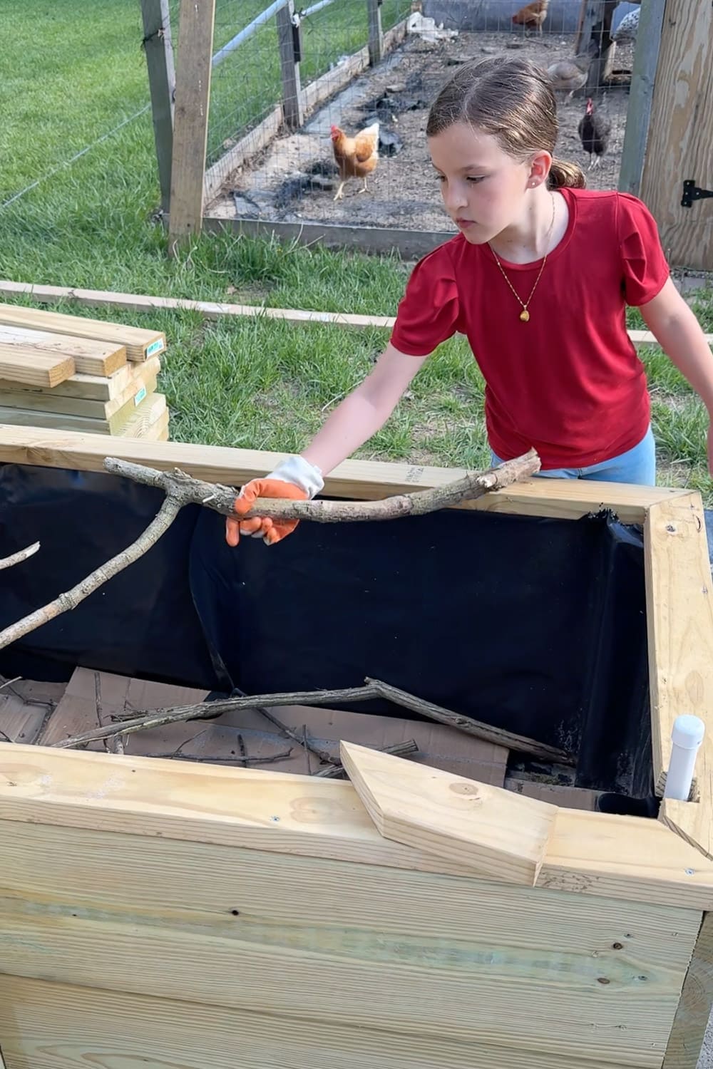 Young girl in a red shirt and work gloves placing dry sticks and tree branches into a tall wooden raised garden bed lined with black fabric, adding the bottom layer when filling a raised garden bed using the hugelkultur method, with backyard chickens visible in the background.