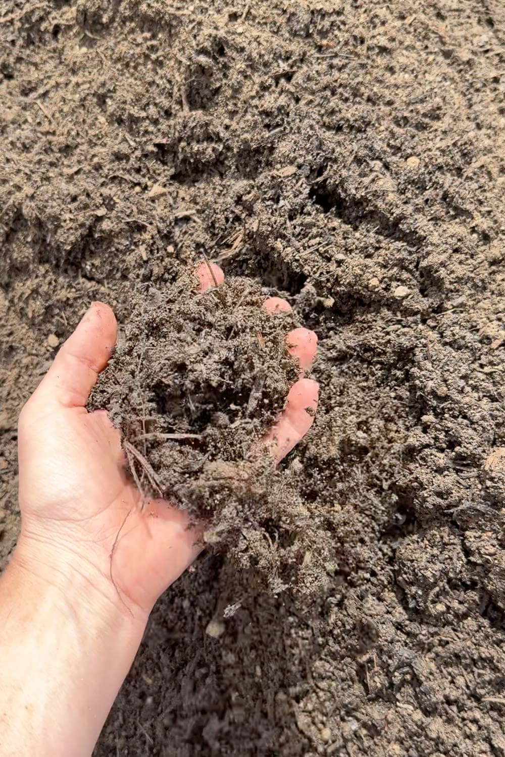 Hand scooping up loose, sandy garden soil mixed with fine organic matter and root fibers, showing the texture of a quality top layer for a raised garden bed — light, well-draining, and ready for planting vegetables and flowers.
