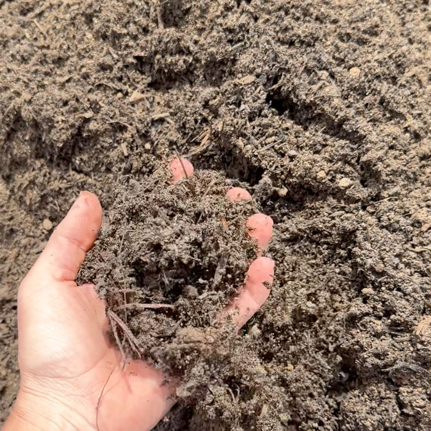 Hand holding a fistful of dark, crumbly organic soil mixed with composted material and small twigs, showing the rich top layer used when learning how to fill a raised garden bed for healthy plant growth.