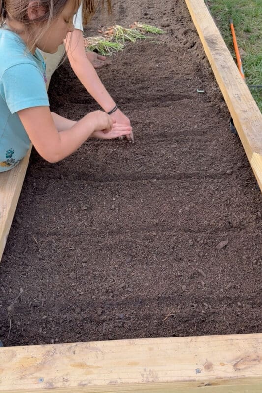 Young girl in a teal shirt sprinkling tiny seeds along neat rows pressed into the rich soil of a finished raised garden bed, planting alongside mom and making a family memory in the backyard garden.