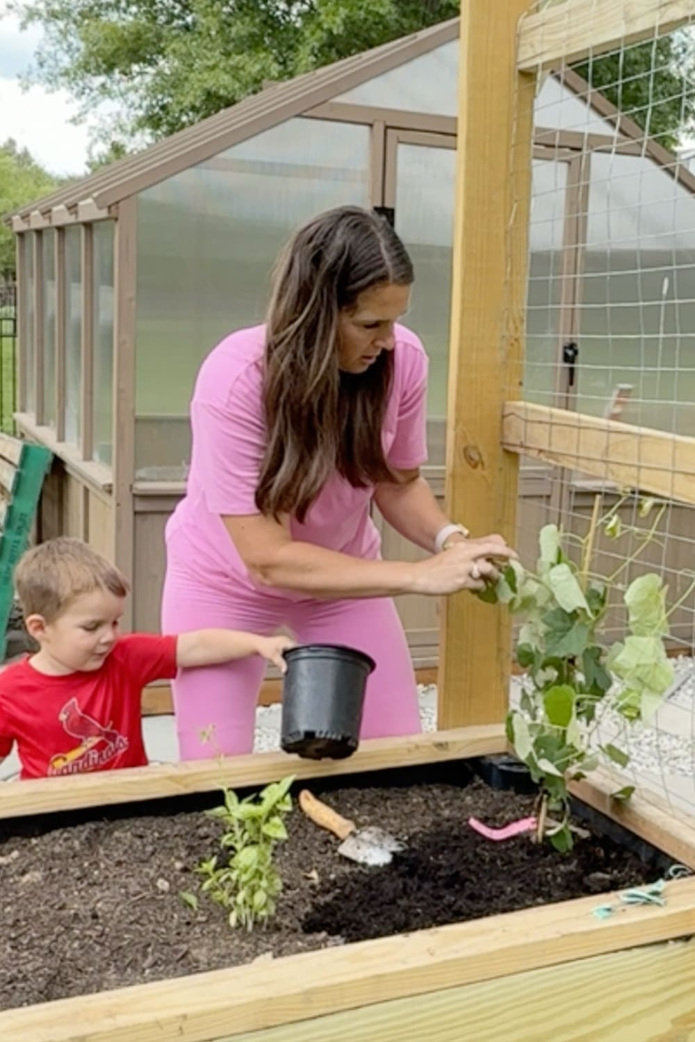 Mom in a pink outfit planting a young grape vine along a wooden trellis while her little boy in a red Cardinals shirt holds a black nursery pot, helping with the family garden in front of a backyard greenhouse.