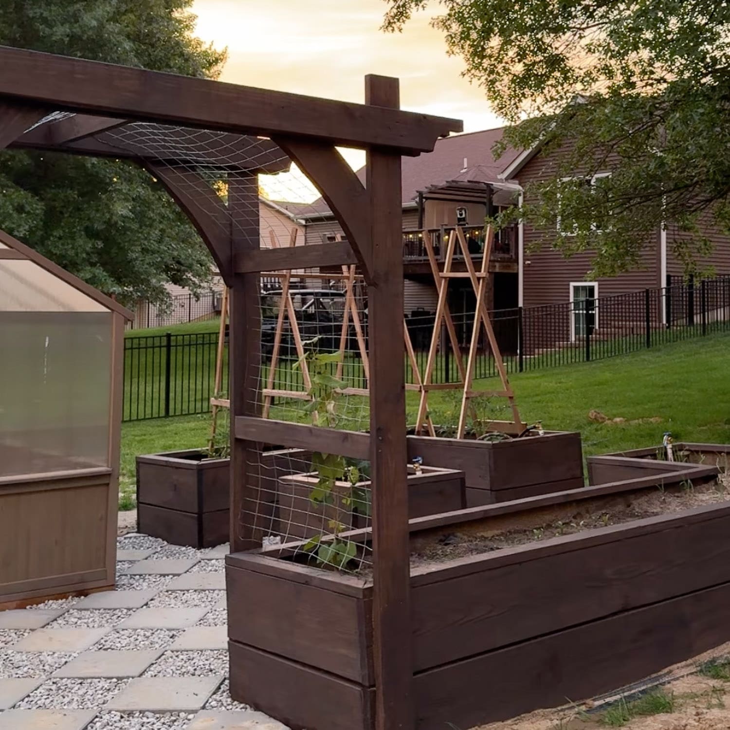 Raised garden beds stained dark brown shown at sunset with pergola and greenhouse