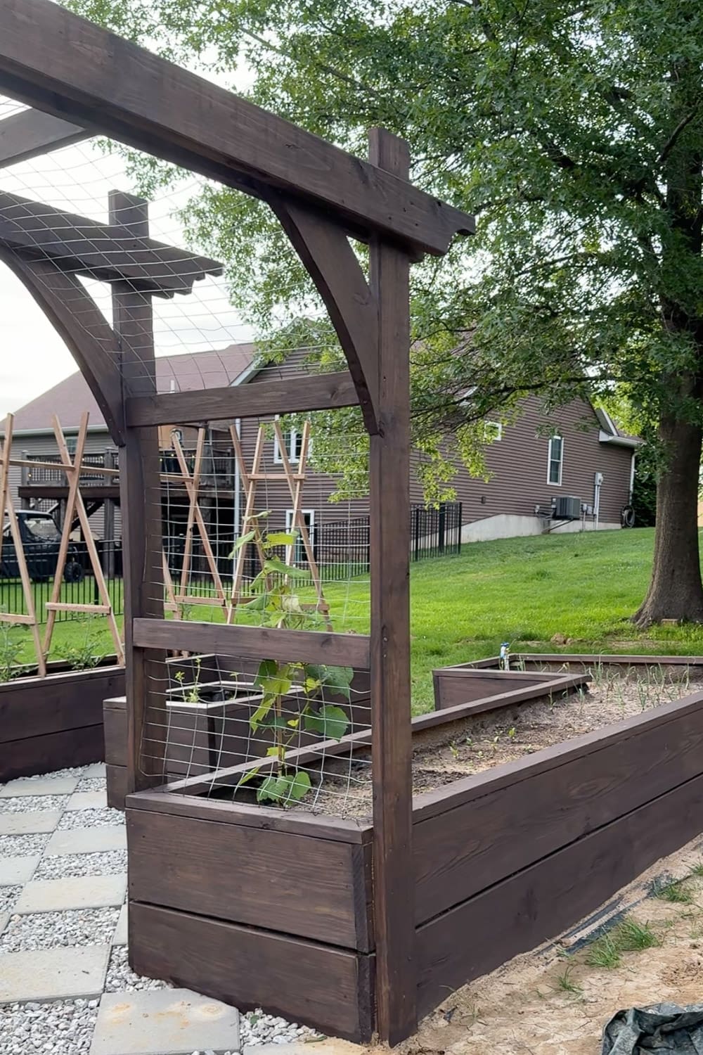Dark stained raised garden beds with an arched pergola trellis in a backyard garden