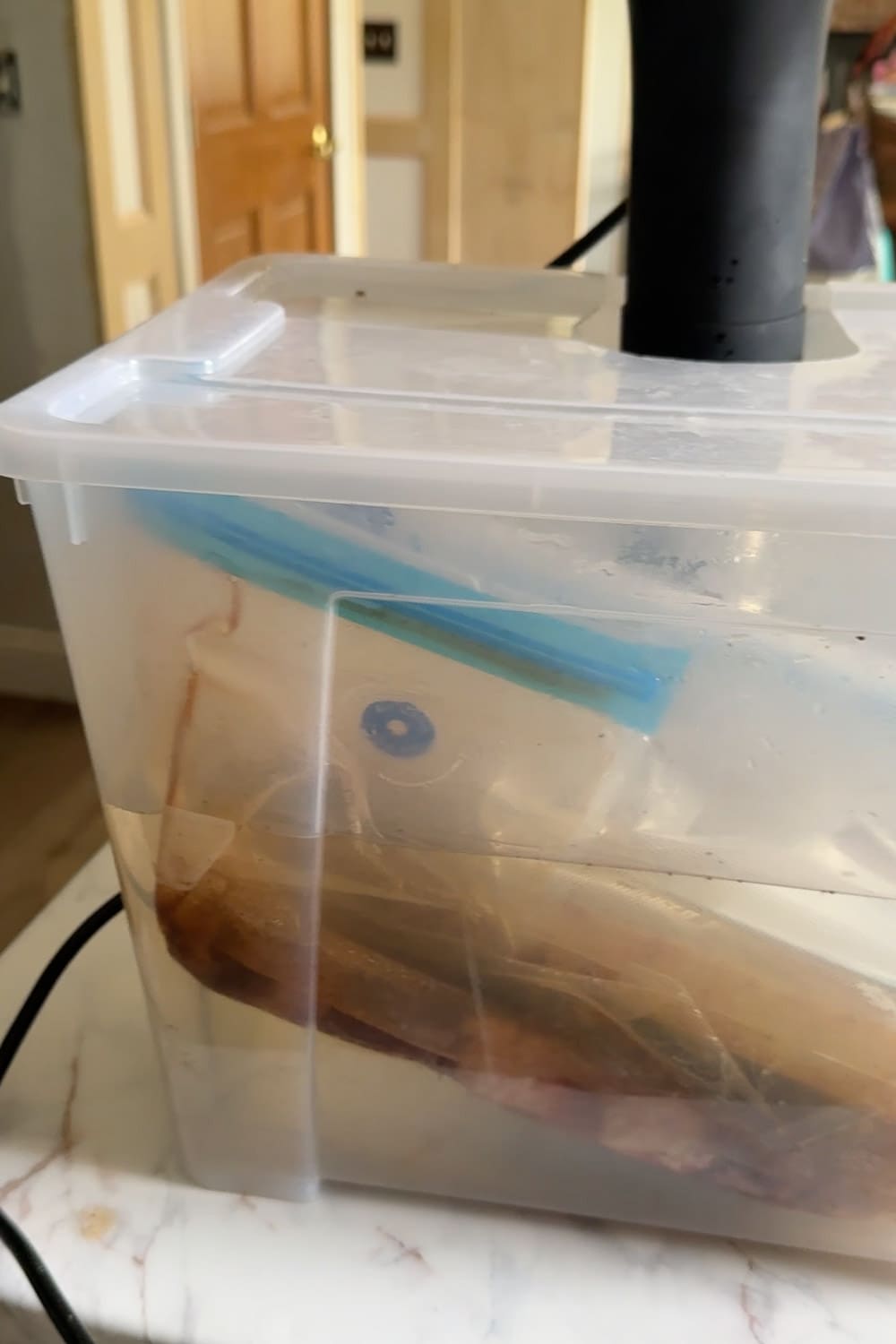 Bagged seasoned steak submerged in a clear container of water while cooking with an immersion circulator