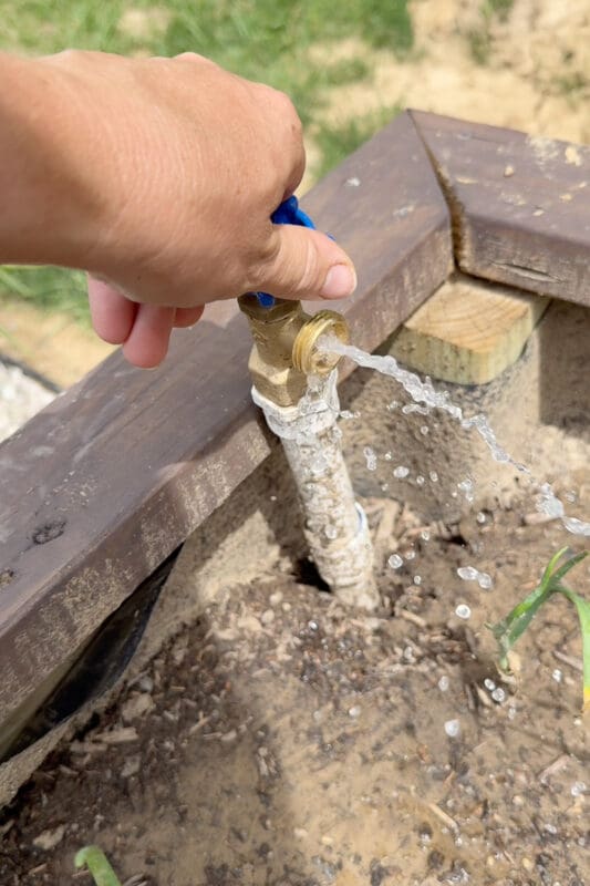 Hand turning the blue valve handle to open a raised bed spigot, water flowing out to test the irrigation hookup