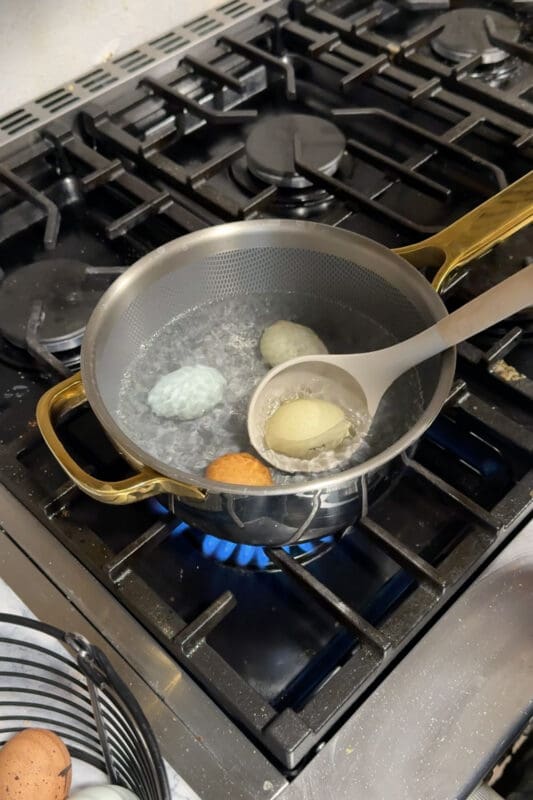 Crystel lowering pierced and tapped fresh eggs in different shell colors into a pot of boiling water with a slotted spoon, testing which method makes hard boiled eggs peel easily.